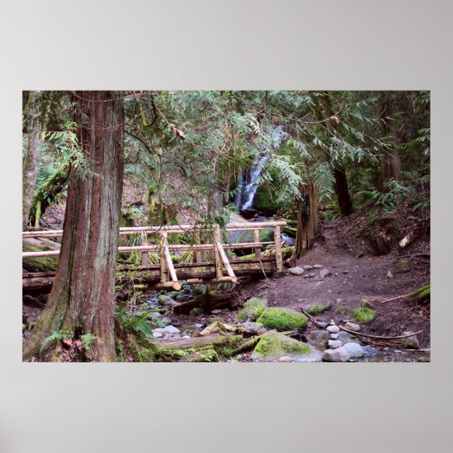 Póster Carbón de carbón Cae Puente caminante Imprimir (Frente)