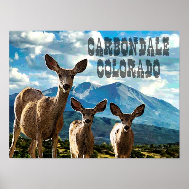 Póster Carbondale, Poster de Colorado (Frente)