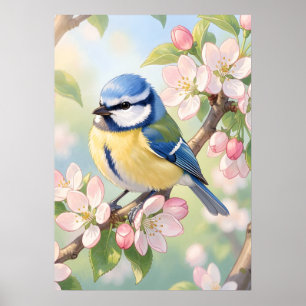 Póster Carbonero azul de acuarela en manzano primavera
