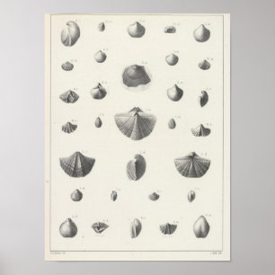 Póster Carbonifero X