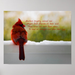 Póster Cardenal con el visitante del poema 14x11 del