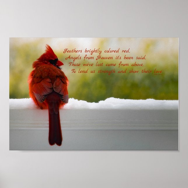 Póster Cardenal con visitante del cielo poema 12x8 (Frente)