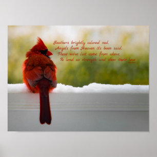 Póster Cardenal con visitante del cielo poema 16x12