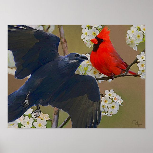 Póster cardenal de crow (Frente)