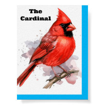 Cardenal de pájaro Poster