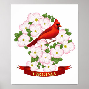 Póster Cardenal estatal de Virginia Bird and Dogwood Flow