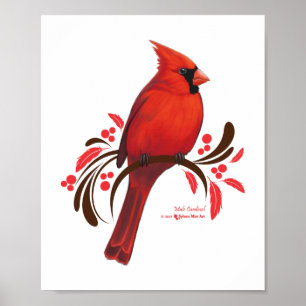 Póster Cardenal masculino