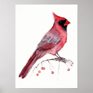 Póster Cardenal rojo Bird