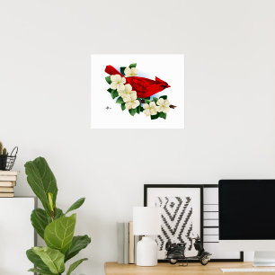 Póster Cardenal rojo del norte