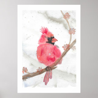 Póster Cardenal rojo en nieve