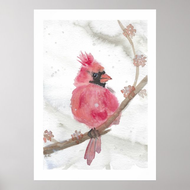 Póster Cardenal rojo en nieve (Frente)