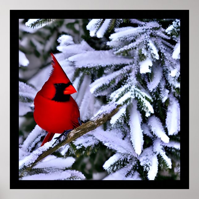 Póster Cardenal rojo invernal (Frente)