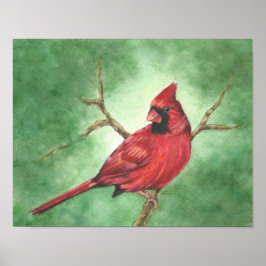 Póster Cardenal rojo masculino en el árbol
