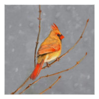 Cardenal sobre pintura de bifurcaciones - Arte de 