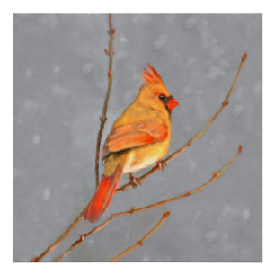 Póster Cardenal sobre pintura de bifurcaciones - Arte de 