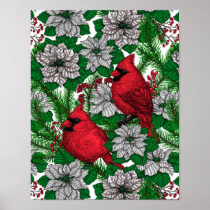 Póster Cardenales 2