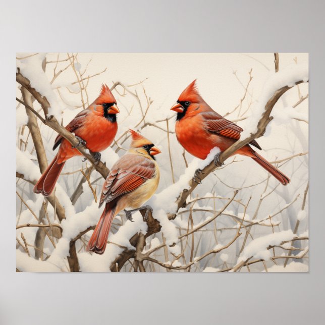 Póster Cardenales de invierno (Frente)