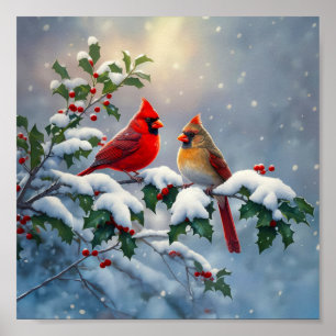 Póster Cardenales rojos y acebo en la nieve
