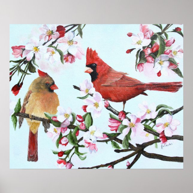Póster Cardenales y flores de manzana (Frente)