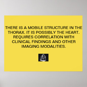 Póster Cardiac Echo Report Poster