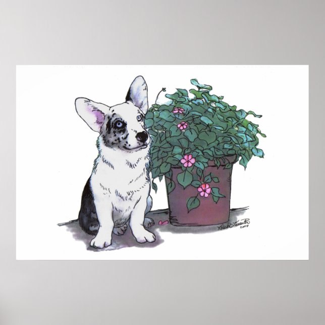 Póster Cardigan Welsh Corgi Print ~ Blue Merle (Frente)
