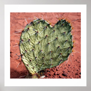 Póster Cardilla de Pear Pricky