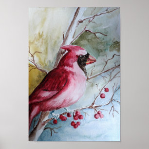 Póster Cardinal