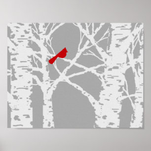 Póster Cardinal on birch tree branch. Poster.
