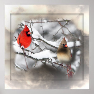Póster Cardinals Winter Scene Poster