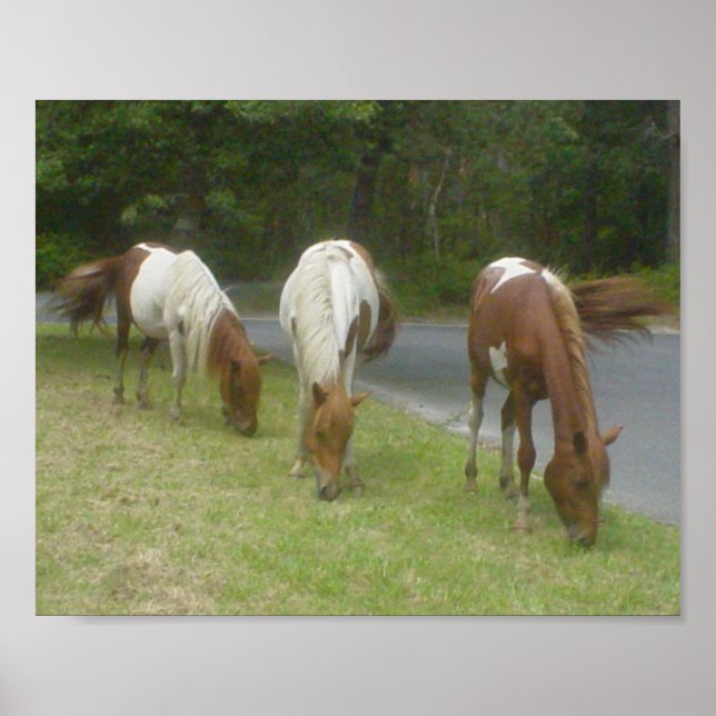 Póster Carefree Ponies Poster (Frente)