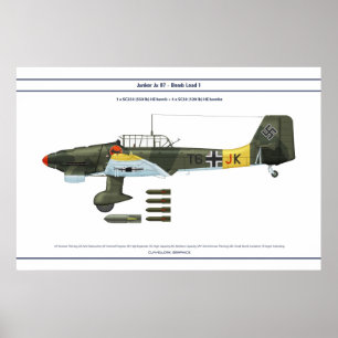 Póster Carga 1 de Ju 87