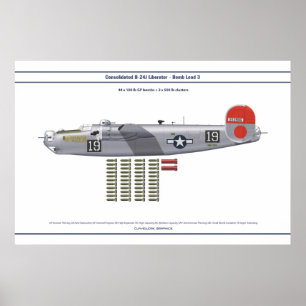 Póster Carga B-24 3
