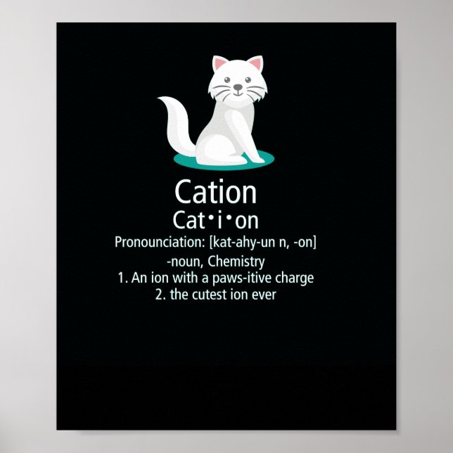 Póster carga de pesita iónica de gato (Frente)