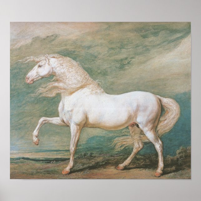 Póster Cargador blanco (Frente)