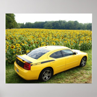 Póster Cargador Dodge R/T Top Banana 2006