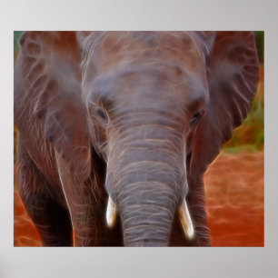 Póster Cargo por elefantes