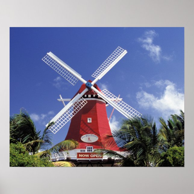 Póster Caribe, Aruba. Molino antiguo, convertido en 'Moli (Frente)