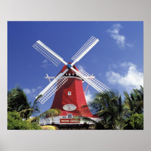 Póster Caribe, Aruba. Molino antiguo convertido en molino
