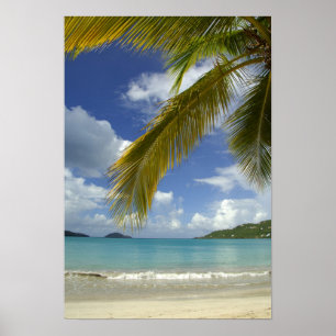 Póster Caribe, Islas Vírgenes de los Estados Unidos, St.T
