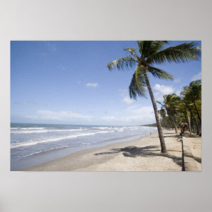 Póster Caribe - Trinidad - Playa Manzanilla el 2