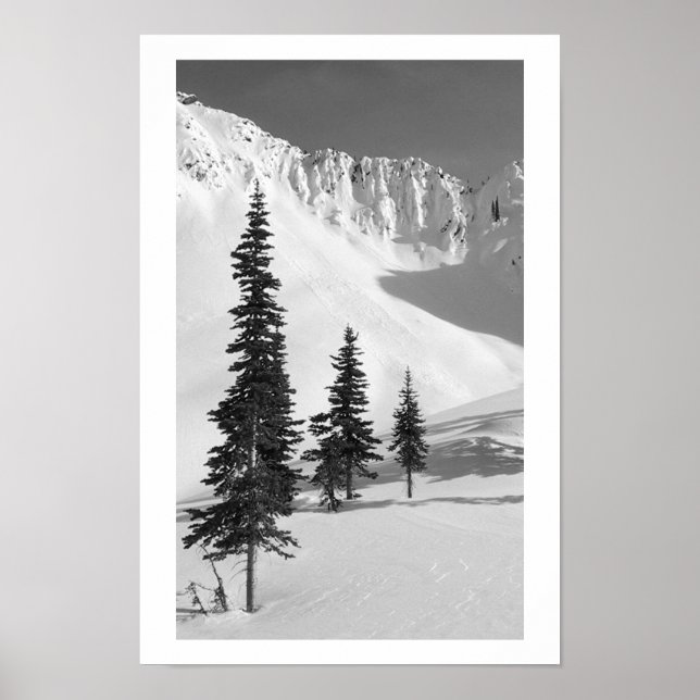 Póster Cariboos: Pequeña diapositiva (Frente)