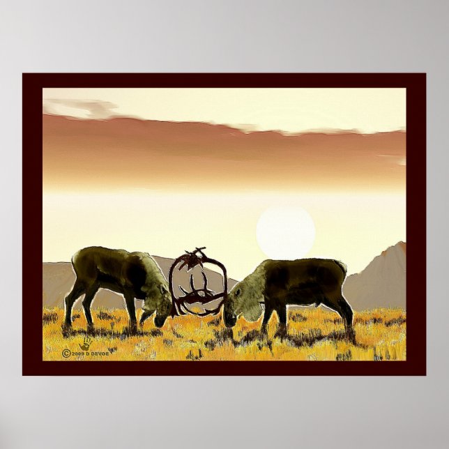 Póster Caribou Duel (Frente)