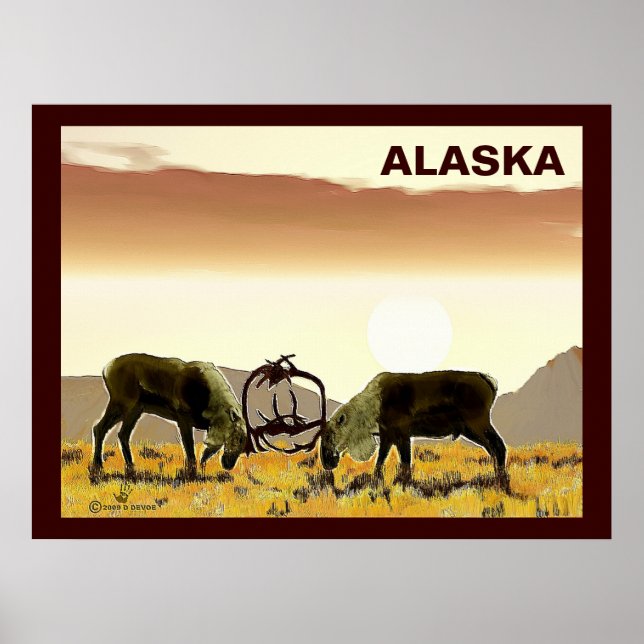 Póster Caribou Duel - Alaska (Frente)