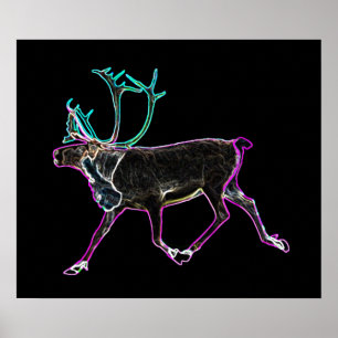 Póster Caribou Eléctrico
