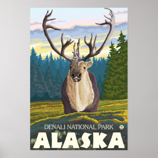 Póster Caribou en el Parque Nacional Wild - Denali,