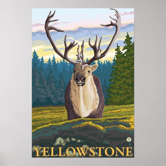 Póster Caribou in the Wild - Yellowstone National (Frente)