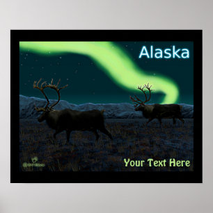 Póster Caribou - Larga Marcha