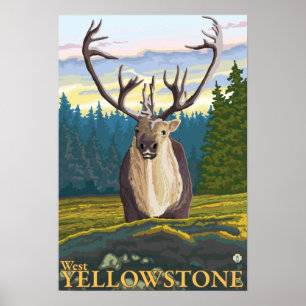 Póster Caribú en el salvaje - Yellowstone del oeste, TA