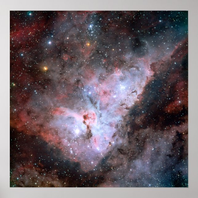 Póster Carina (Frente)