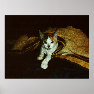 Póster Cariño de Gatito